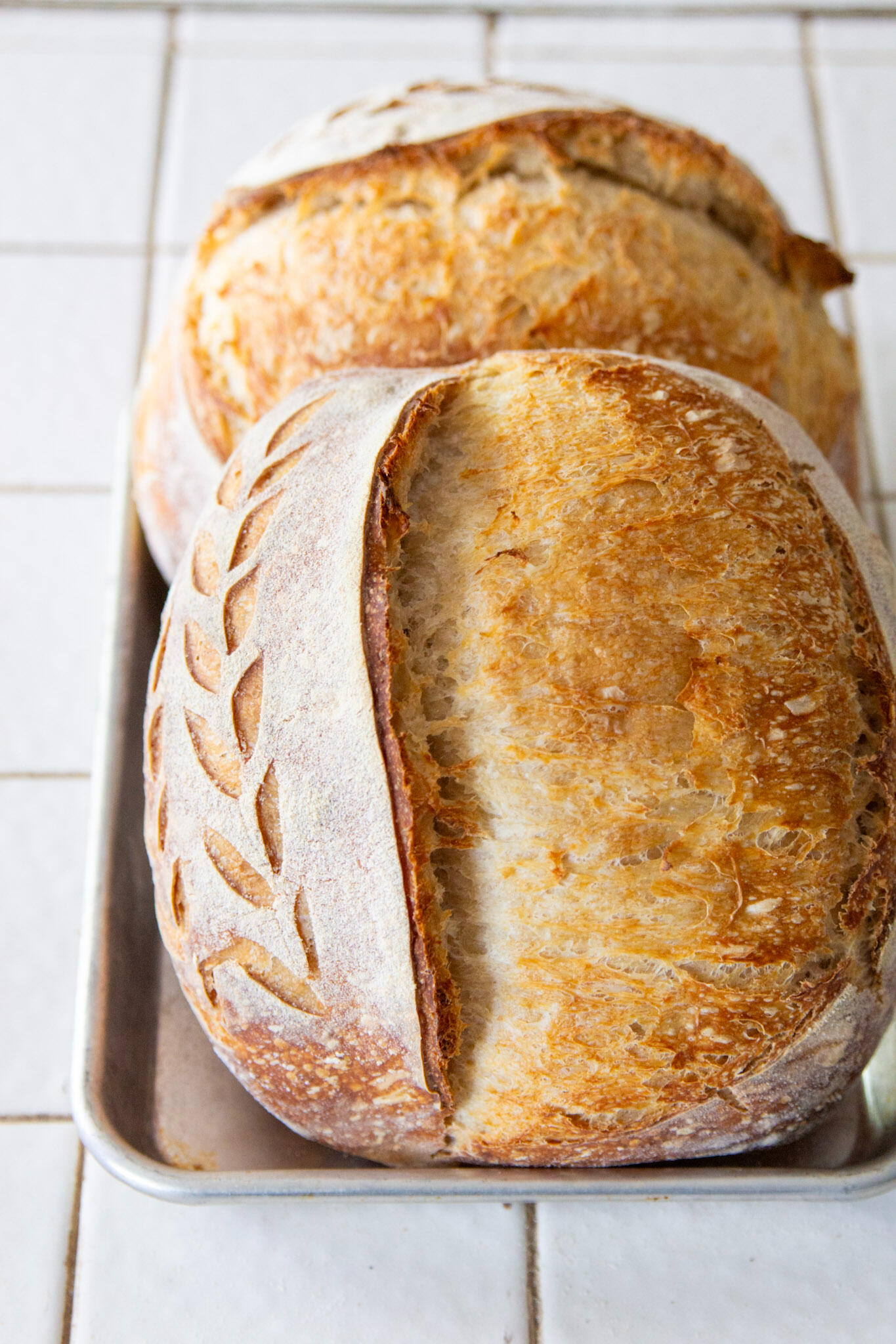 Sourdough Chocolate Chip Cookies Sourdough Chocolate Chip Cookies